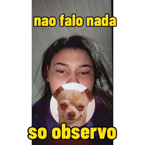 Minhas figurinhas 3