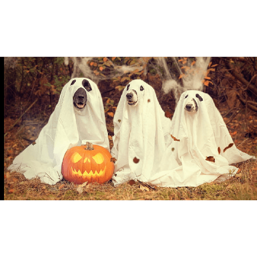 Halloween 🎃🎃💀 14