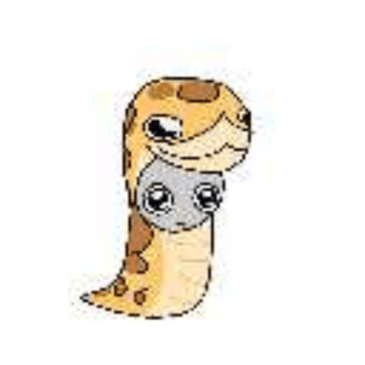 Peter(º﹃º )
 9