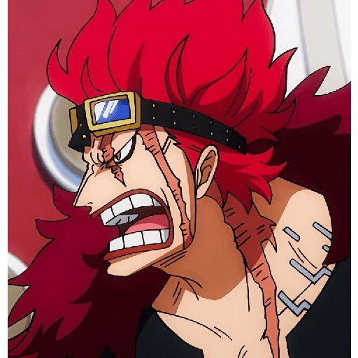 Eustass Kid🌙⁉️ 11