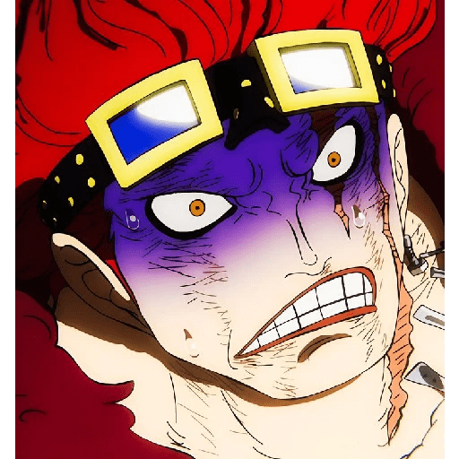 Eustass Kid🌙⁉️ 14