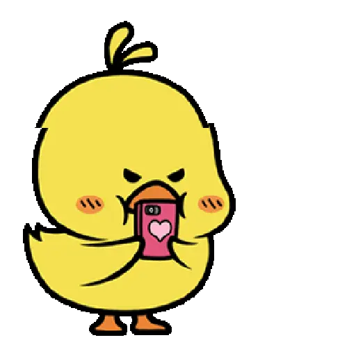 Duck Duck 5