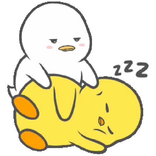 Duck Duck 11