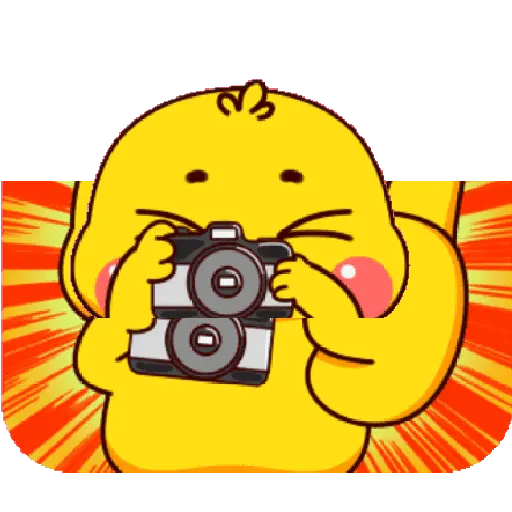 Duck Duck 14