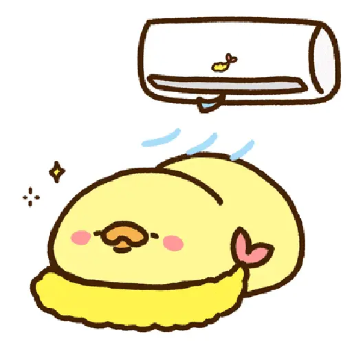 Duck Duck 23