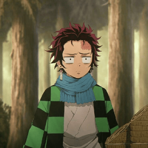 Tanjiro Kamado — KNY 14
