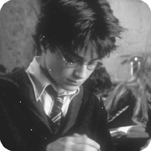 Harry Potter 8