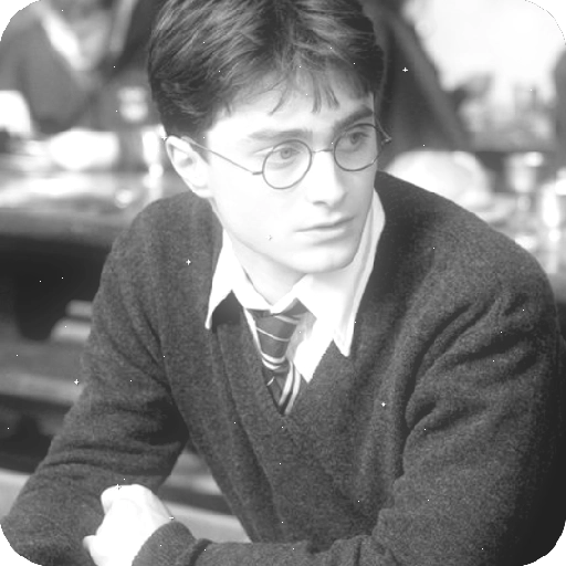 Harry Potter 9