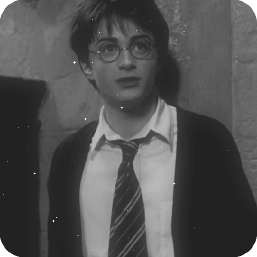 Harry Potter 10