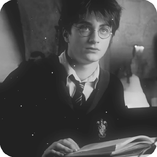 Harry Potter 11