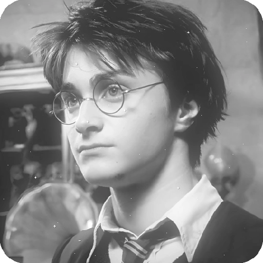 Harry Potter 12