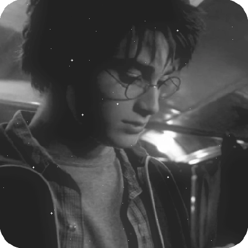 Harry Potter 13