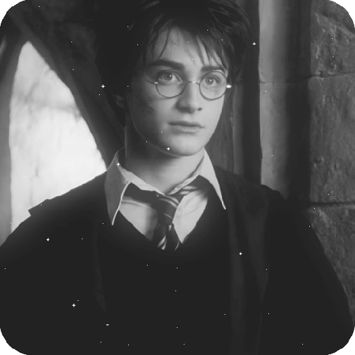 Harry Potter 14
