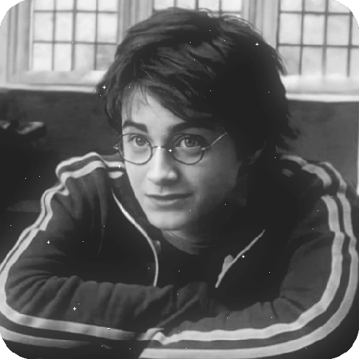 Harry Potter 15
