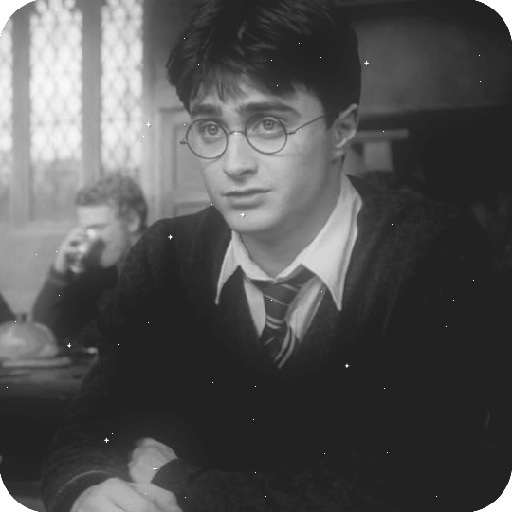 Harry Potter 16