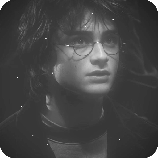 Harry Potter 17