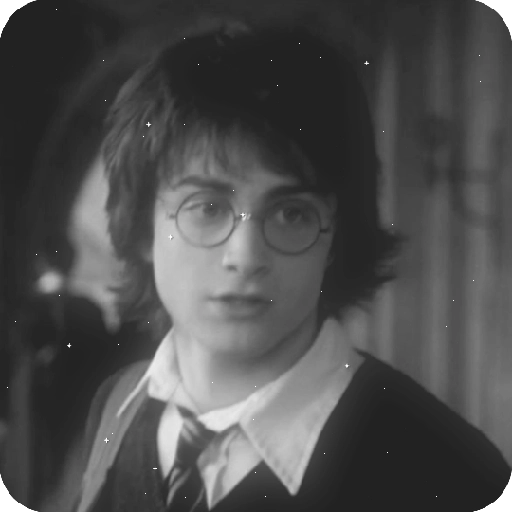 Harry Potter 18
