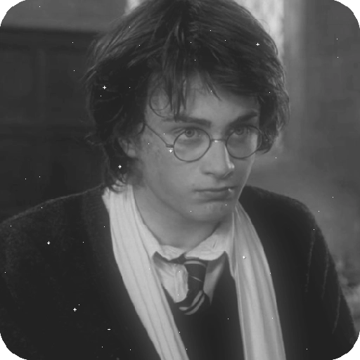 Harry Potter 19
