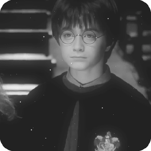 Harry Potter 20