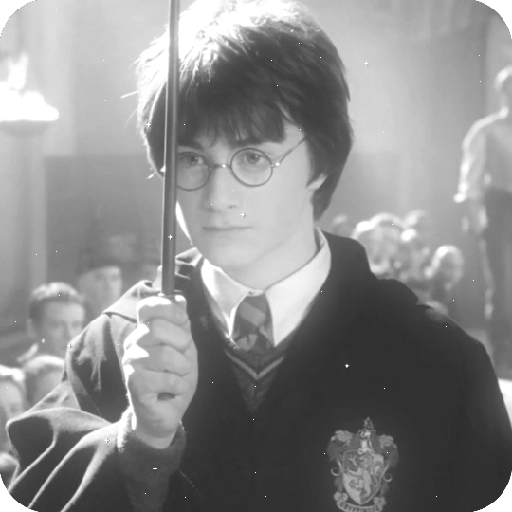 Harry Potter 21