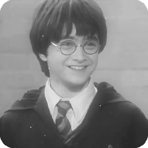 Harry Potter 22