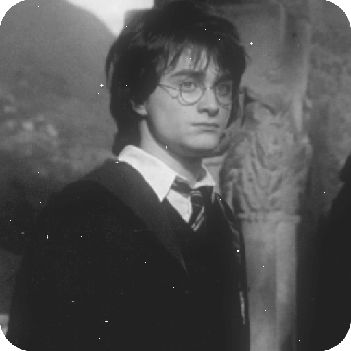 Harry Potter 23