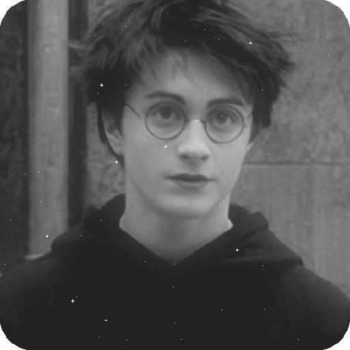 Harry Potter 24