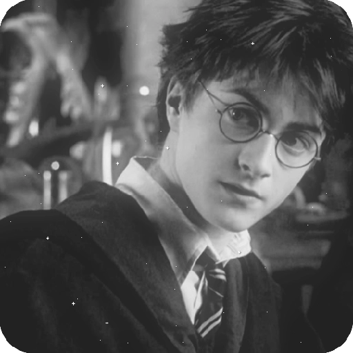 Harry Potter 25