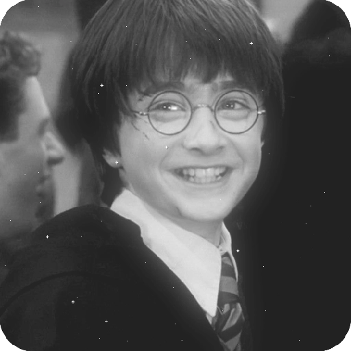 Harry Potter 27