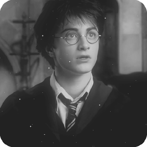 Harry Potter 28