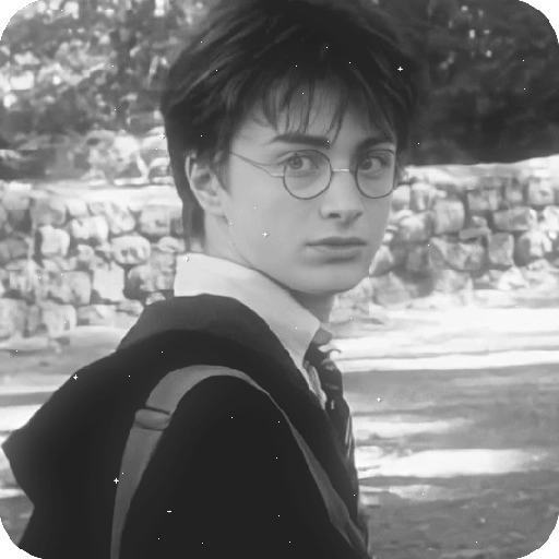 Harry Potter 29