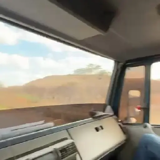 Novo  19