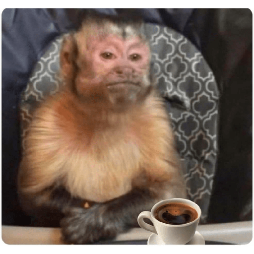 Monkeys