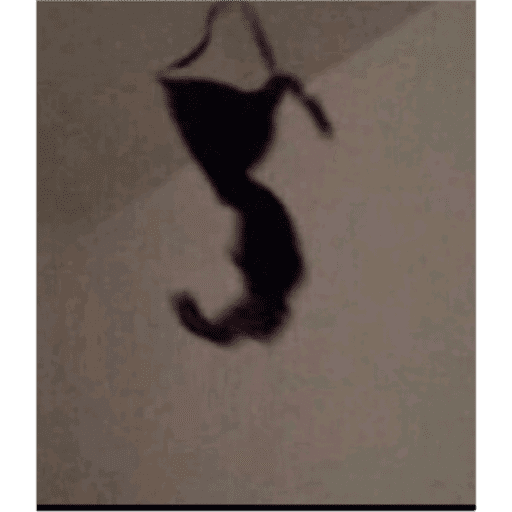 Jjjjjjjjjj 7