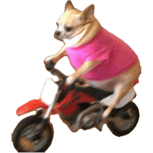 Jjjjjjjjjj 3