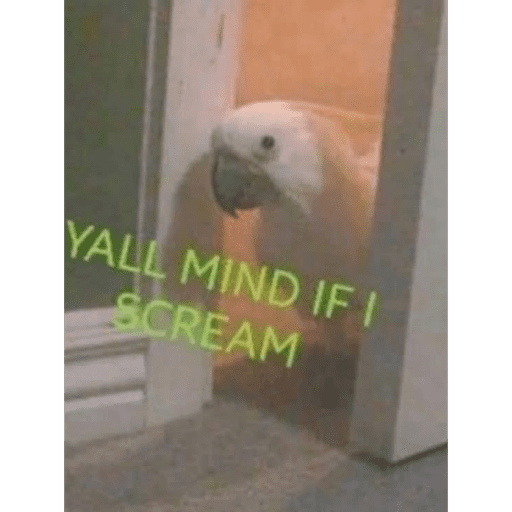 Jjjjjjjjjj 20