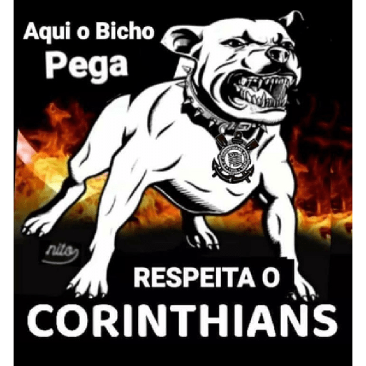 Timão 10