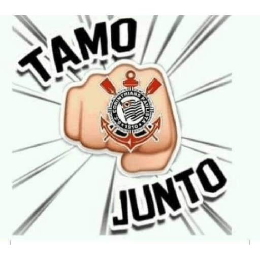 Timão 9