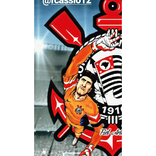 Timão 8
