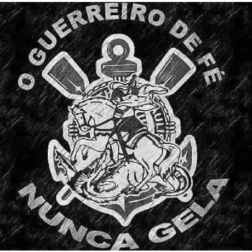 Timão 29