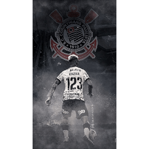 Timão 24