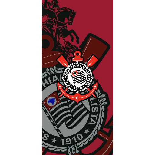 Timão 18