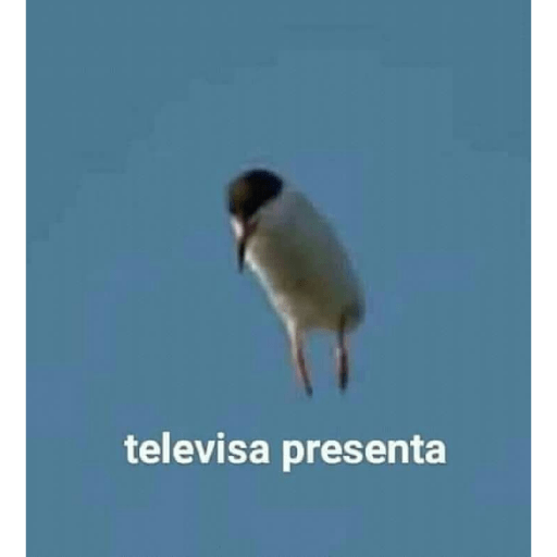 Shitpost ¿ 2
