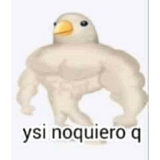 Shitpost ¿ 24