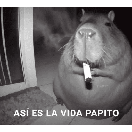 Sticker 9