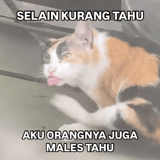 Rndm 7