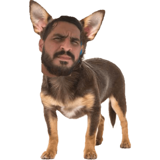 Hola 7