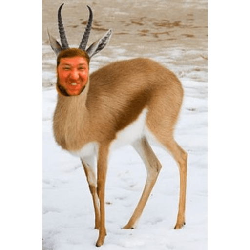 Hola 10