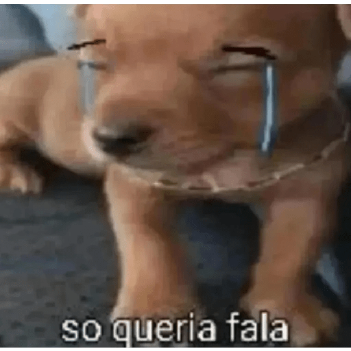 Oi posso fala 2.0 1
