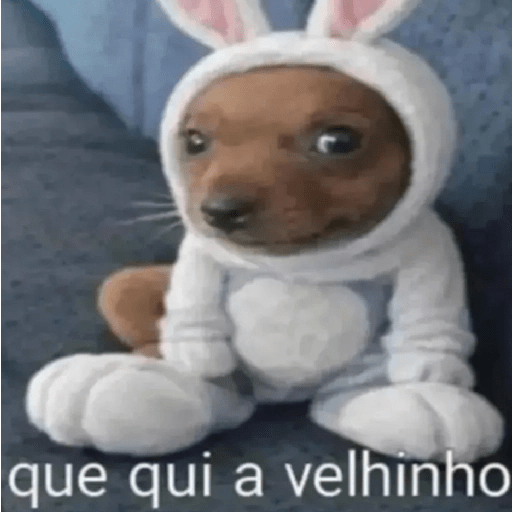 Oi posso fala 2.0 4